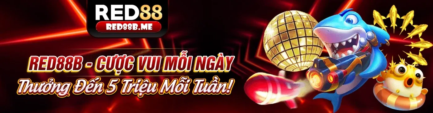 Hình ảnh đại diện cho bảo mật dữ liệu và tuân thủ GDPR tại 88sc
