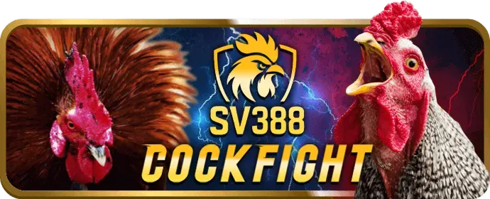 Điền thông tin vào mẫu đăng ký 88sc